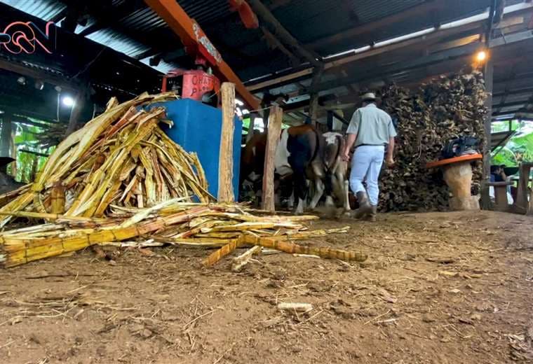 Conozca la tradición más dulce de Costa Rica