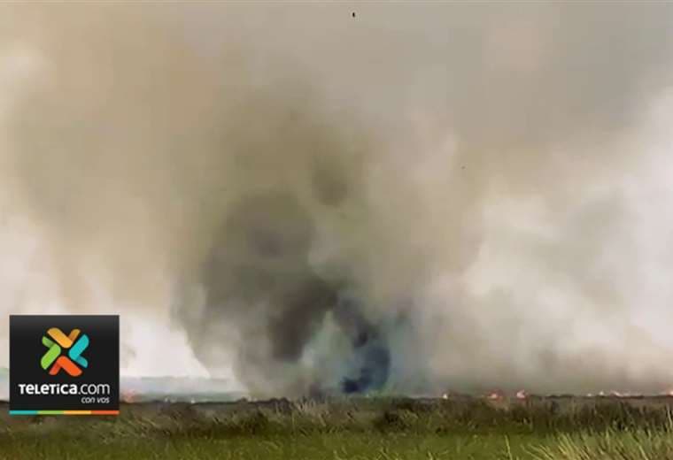 Bomberos luchan contra incendio forestal en Los Chiles