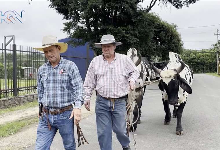 ¡Comienzan las fiestas patronales en San Ramón de Alajuela!